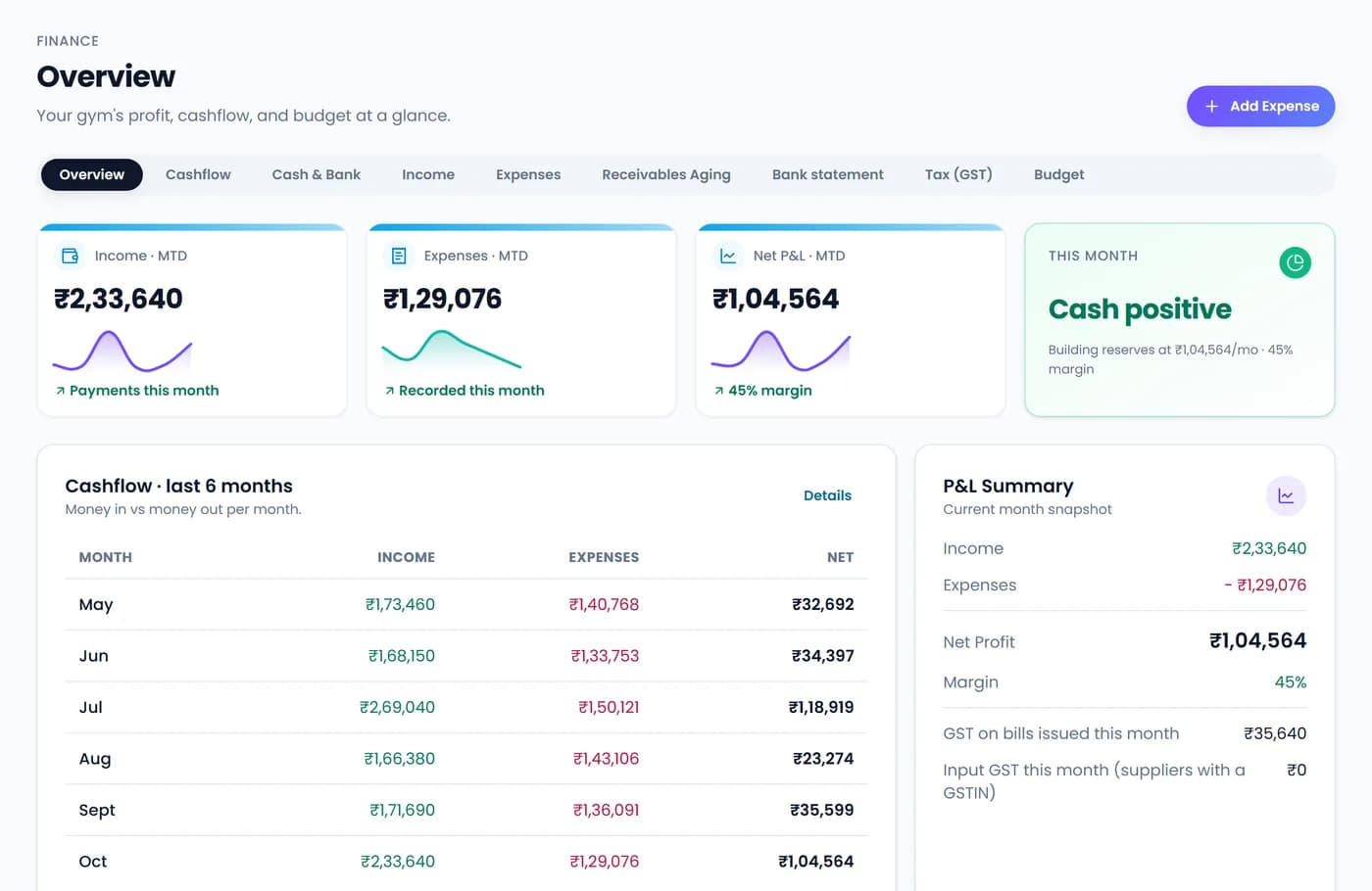 Finance overview: income, expenses and profit this month, and six months of cash flow